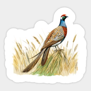 Pheasant Sticker